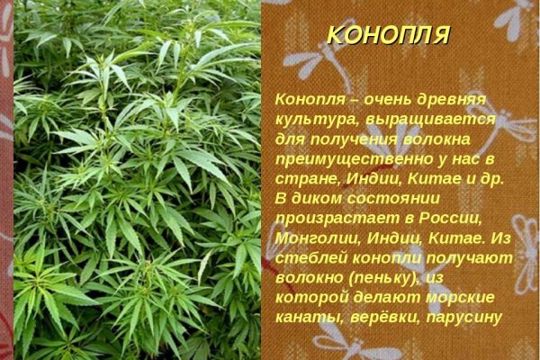 Что можно купить в кракене