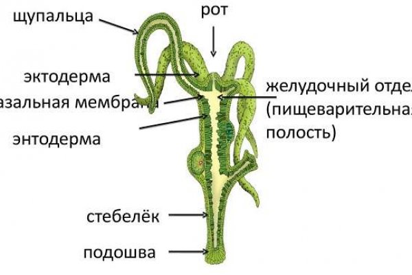 Кракен ссылка на тор